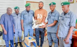 Anti-Trafficking Effort: Customs hands over  5 lives rescues endangered pangolins